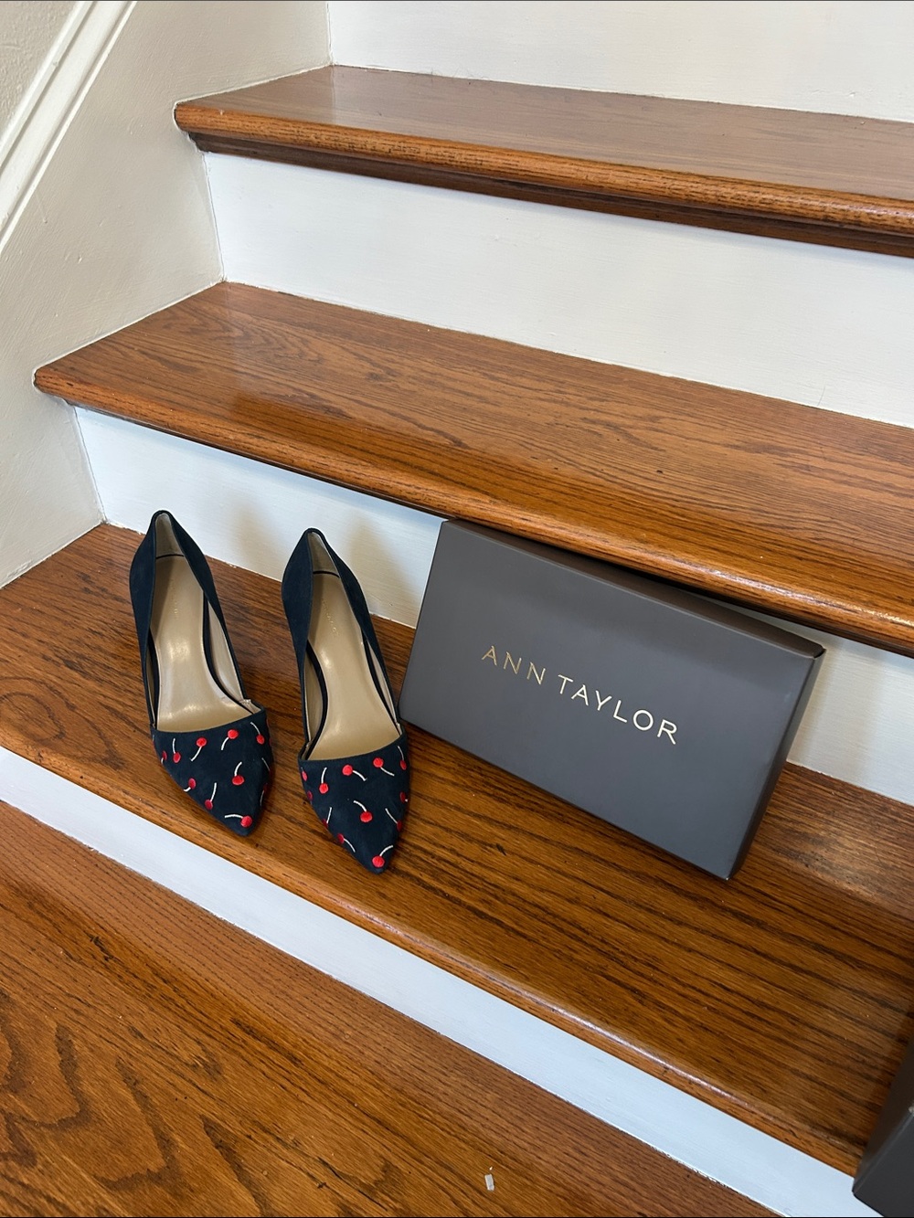 Ann Taylor Navy Pointed-Toe Pumps with Red Cherry Embroidery